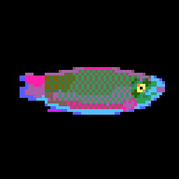 Pygmy Parrotfish