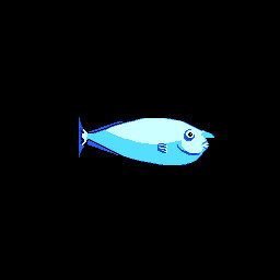 Whitemargin Unicornfish