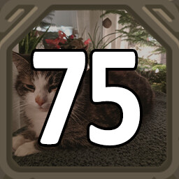 75 Cats!