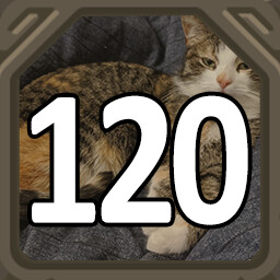 120 Cats!