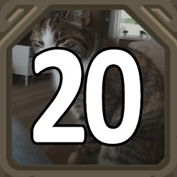 20 Cats!