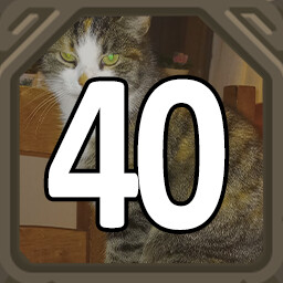 40 Cats!