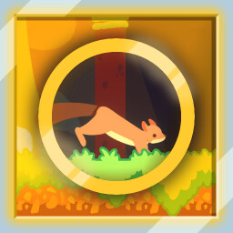 Vuela como un pjaro, corre como una ardilla