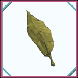 Icon for Camellia Sinensis