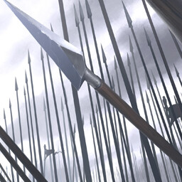 Lancer's Joint Struggle