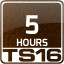Icon for Turbine Hours Played