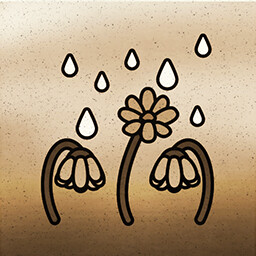 Blooming Flowers