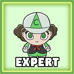 Expert Catcher