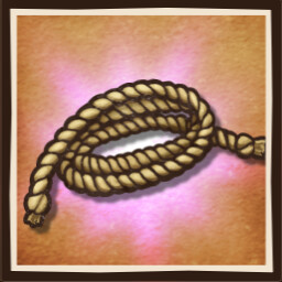 Roped Into Something