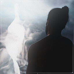 In the Shadows