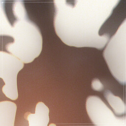 Primordial Dust