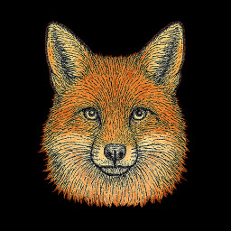 AMERICAN RED FOX MASTER