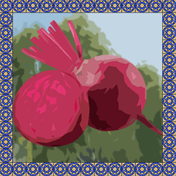 Icon for Beet master