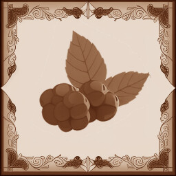 Icon for Berry