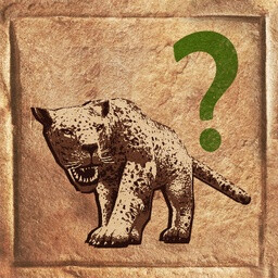 Icon for TR2 | Who’s the Cat and Who’s the Mouse