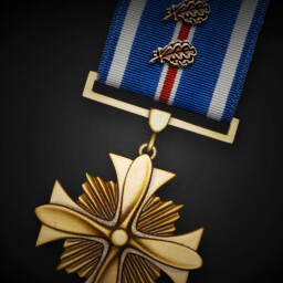 Distinguished Flying Cross (Second Oak Leaf Cluster) achievement icon for Korea. IL-2 Series