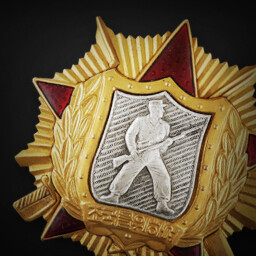 The North Korean Order Of Soldiers Honour 1st Class achievement icon for Korea. IL-2 Series