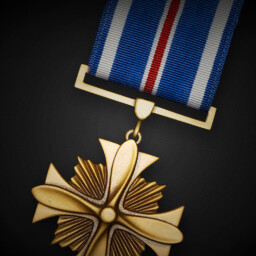 Distinguished Flying Cross achievement icon for Korea. IL-2 Series