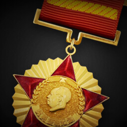 "Oppose America And Assist Korea" Medal achievement icon for Korea. IL-2 Series