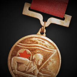 Military Merit Medal for PRC achievement icon for Korea. IL-2 Series