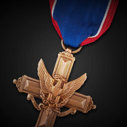 Distinguished Service Cross achievement icon for Korea. IL-2 Series