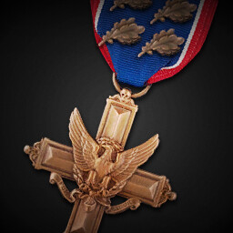 Distinguished Service Cross (Fourth Oak Leaf Cluster) achievement icon for Korea. IL-2 Series