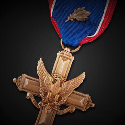 Distinguished Service Cross (First Oak Leaf Cluster) achievement icon for Korea. IL-2 Series