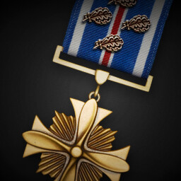 Distinguished Flying Cross (Fourth Oak Leaf Cluster) achievement icon for Korea. IL-2 Series