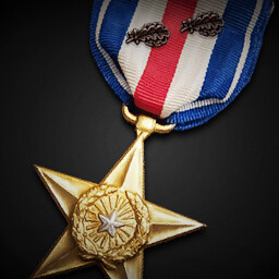 Silver Star (Second Oak Leaf Cluster) achievement icon for Korea. IL-2 Series