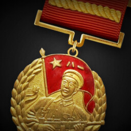 "A Liberation Of North China" Medal achievement icon for Korea. IL-2 Series