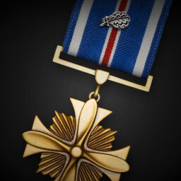 Distinguished Flying Cross (First Silver Oak Leaf Cluster) achievement icon for Korea. IL-2 Series