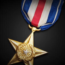 Silver Star Medal achievement icon for Korea. IL-2 Series