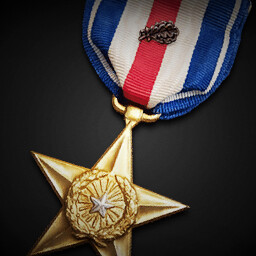Silver Star (First Oak Leaf Cluster) achievement icon for Korea. IL-2 Series