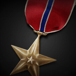 Bronze Star Medal achievement icon for Korea. IL-2 Series