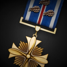 Distinguished Flying Cross (Third Oak Leaf Cluster) achievement icon for Korea. IL-2 Series
