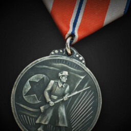 North Korean Military Merit Medal achievement icon for Korea. IL-2 Series