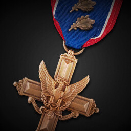 Distinguished Service Cross (Second Oak Leaf Cluster) achievement icon for Korea. IL-2 Series