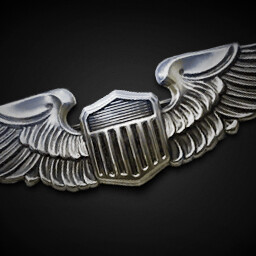 Pilots Badge for USA achievement icon for Korea. IL-2 Series