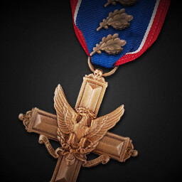 Distinguished Service Cross (Third Oak Leaf Cluster) achievement icon for Korea. IL-2 Series