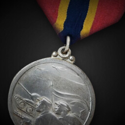 "1950-1953 North Korean Liberation War Medal" achievement icon for Korea. IL-2 Series