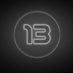  Survive 13