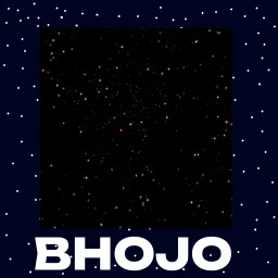 Bhojo Survivor