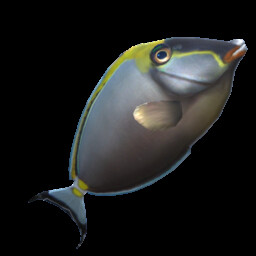 Orangespine unicron fish