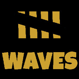 Survive 10 waves