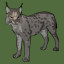 Icon for Eurasian Lynx
