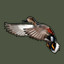 Icon for Gadwall