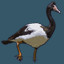 Icon for Magpie Goose