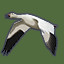 Icon for Snow Goose