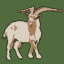 Icon for Feral Goat