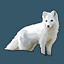 Icon for Arctic Fox